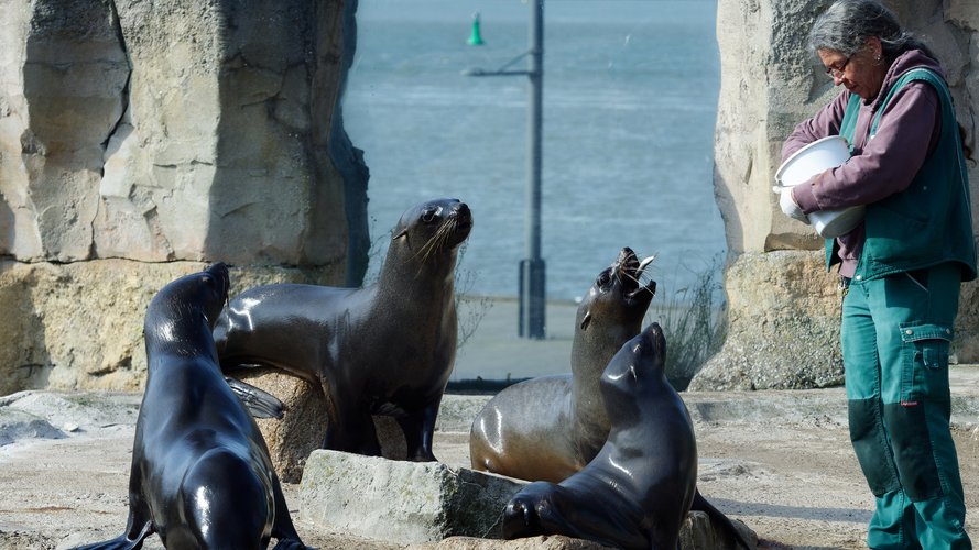 ZOO AM MEER BREMERHAVEN (Vorschaubild)